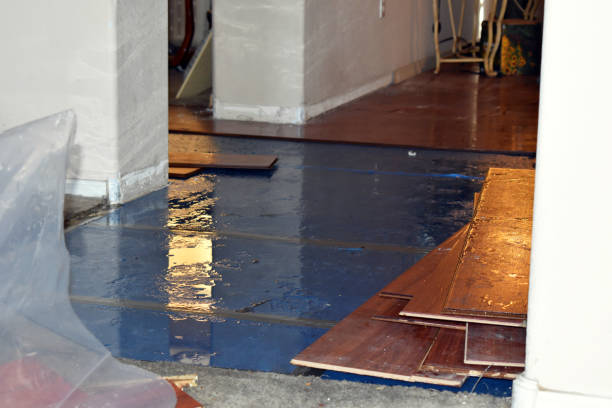 Professional Water Damage Restoration technician working in La Salle, MN